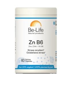Zn B6